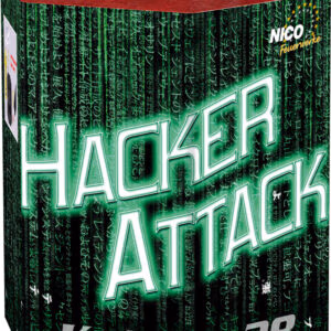 Hacker Attack