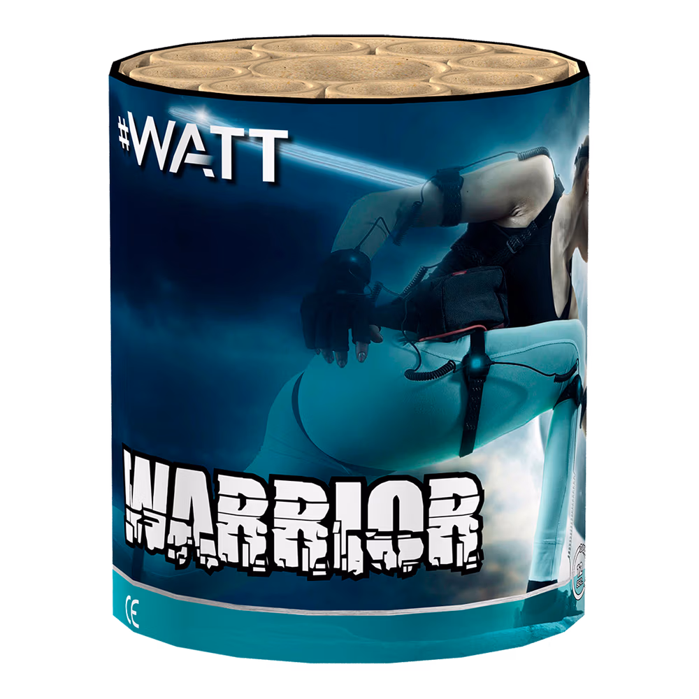 Warrior 1 Warrior